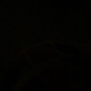 Meet your Posher, Lazaro